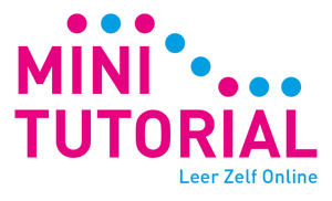 Met de Mini Tutorial van Leer Zelf Online kan informatie op een net zo aantrekkelijke manier worden aangeboden binnen uw website. Maar dan in het eigen tempo van de bezoeker en op een gestructureerde manier.