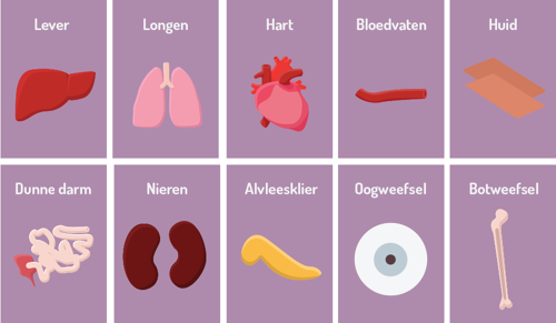 Hoe werkt [orgaandonatie]?